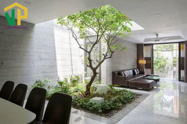cach-trang-tri-cay-canh-trong-nha-dep-phu-hop-phong-thuy-2 Thẩm mỹ ngôi nhà được nâng cao khi trang trí cây cảnh phù hợp