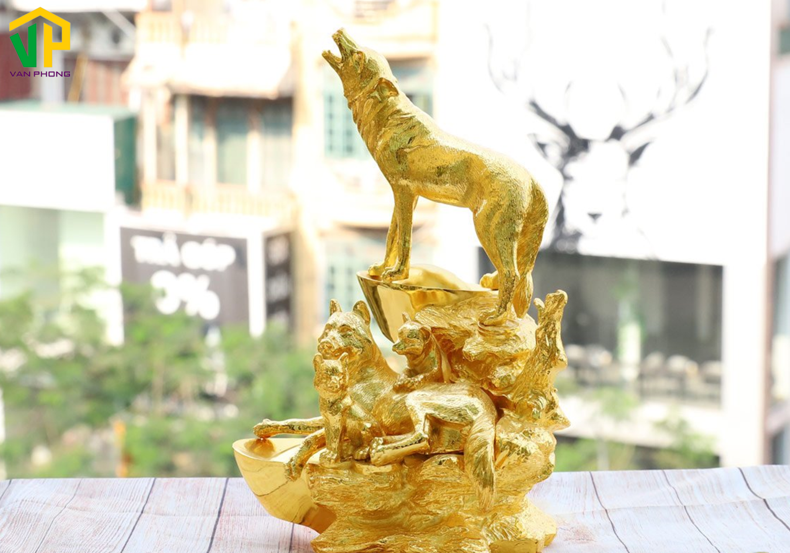 huong-nha-tuoi-tuat1 Gia chủ tuổi Tuất nên chọn hướng nhà nào?